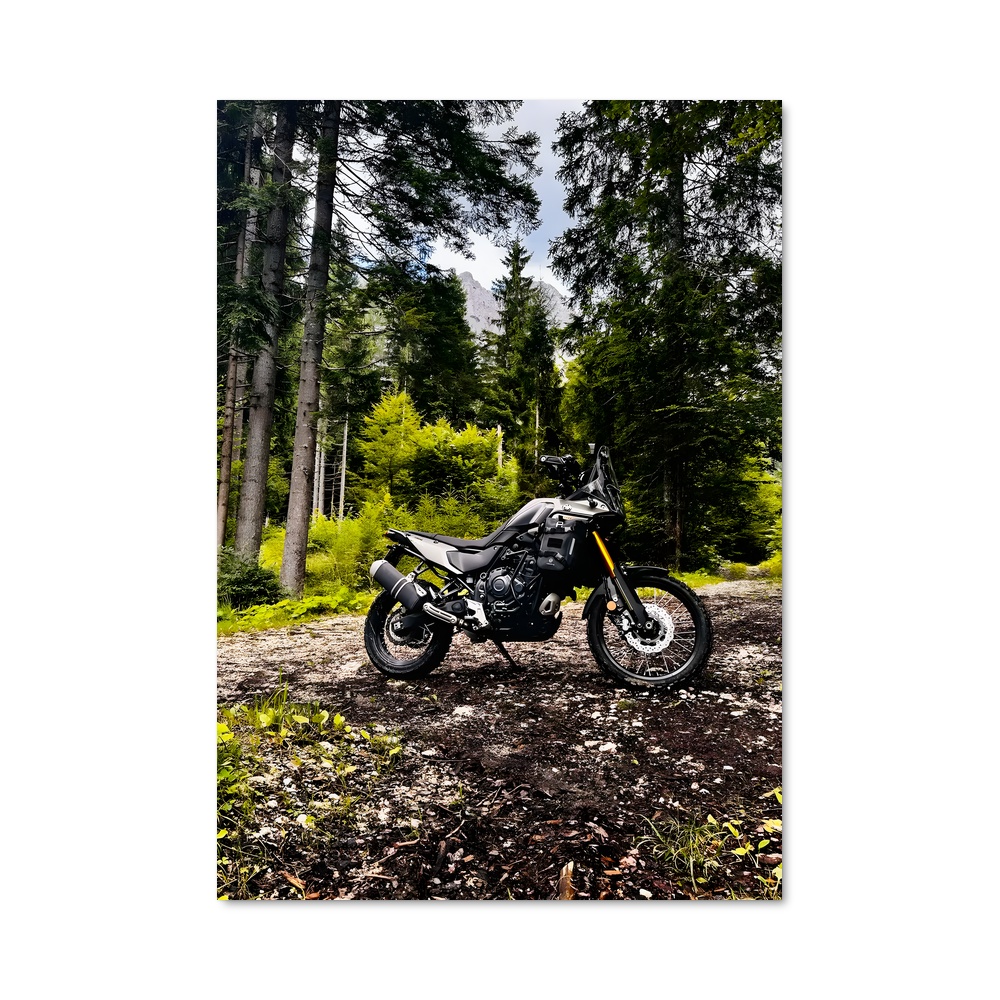 Poster Charme du Désert
